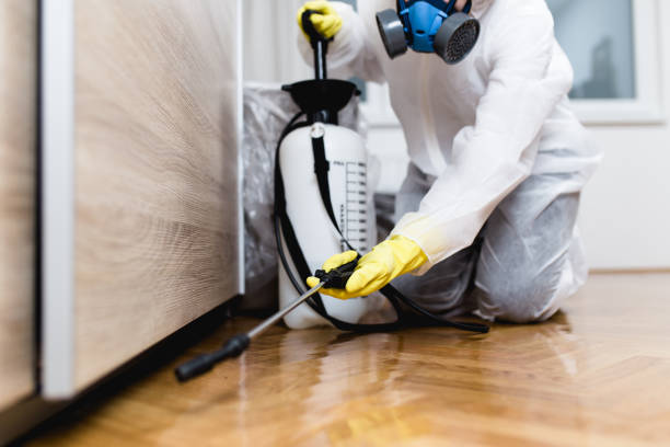 Trusted North Enid, OK Pest Control Experts
