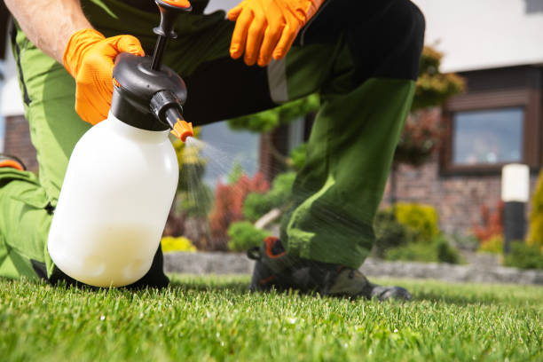 Pest Control Cost in North Enid, OK