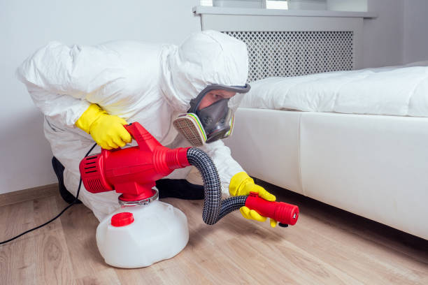 Best Local Pest Control Services  in North Enid, OK
