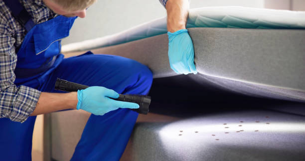 Best Exterminator Services  in North Enid, OK