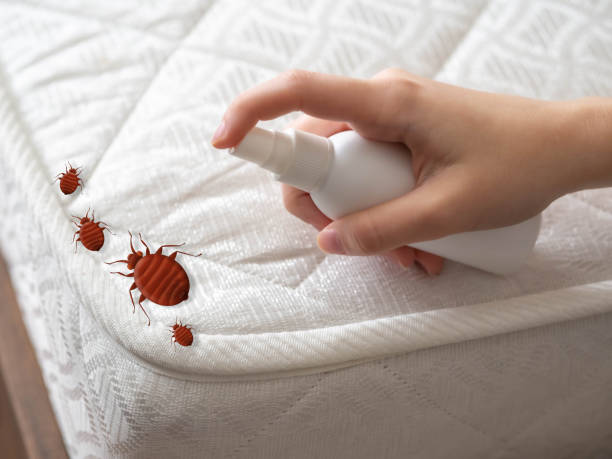 Best Residential Pest Control  in North Enid, OK